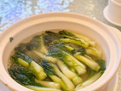 上汤白菜苔-北园酒家(小北路店)