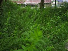 -苏州河梦清园环保主题公园