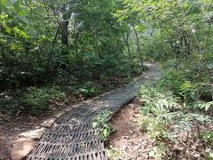 -北京西山国家森林公园