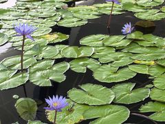-滨海湾金沙购物商场