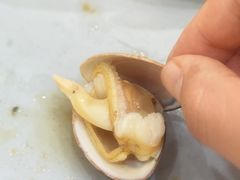 -仙螺岛海鲜自助餐厅(总店)