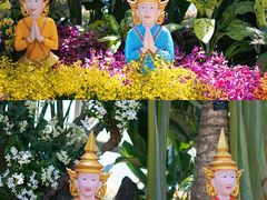 -上海辰山植物园