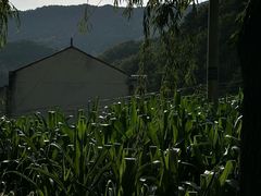 -王顺山国家森林公园