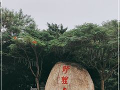-野狸岛