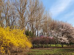 -长春公园(普阳街道)