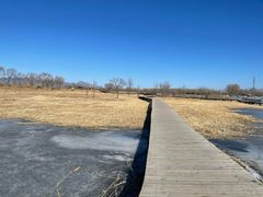 -野鸭湖国家湿地公园