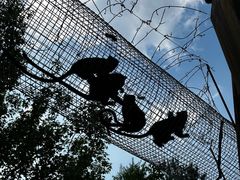 -济南野生动物世界