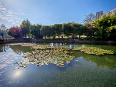 -洋湖国家湿地公园