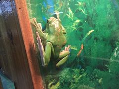 -上海大自然野生昆虫馆
