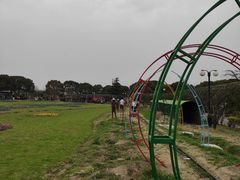 -苏州太湖西山岛开心农场