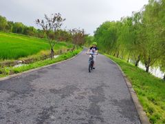 -广富林郊野公园