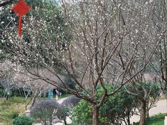 -广州市白云山风景名胜区