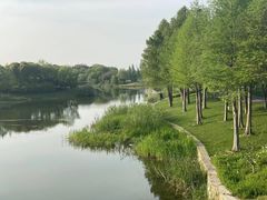 -尚贤河湿地