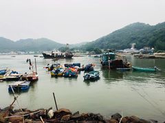 -大澳渔村及棚屋