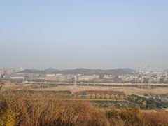 -羊山湖公园