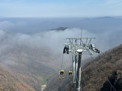 -栾川竹海野生动物园