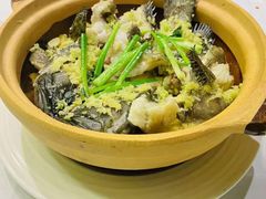 -老伙记海鲜码头(北滘店)