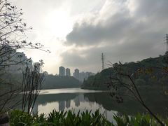 -重庆彩云湖湿地公园
