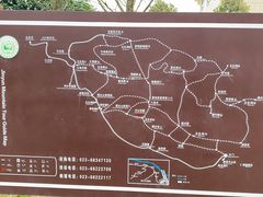 -缙云山景区