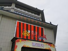-雾与山茶(大禹城店)