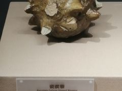 -宁夏博物馆