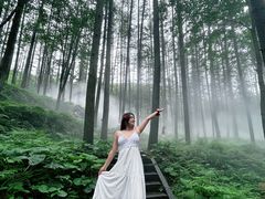 -洛阳白云山景区