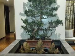 -紫藤炉茶膳(兴庆府大院店)