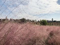 -花博汇(知音花月夜)