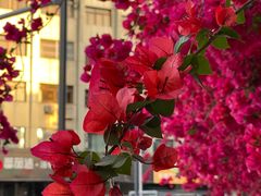 -有红鸡毛店·川菜(建设路店)