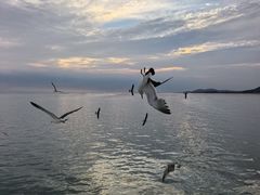 -长岛南北长山旅游景区