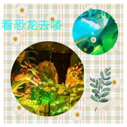 -恐龙探索乐园(磁器口店)