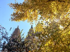 -北京石刻艺术博物馆(五塔寺)