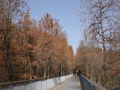 -青山湖景区