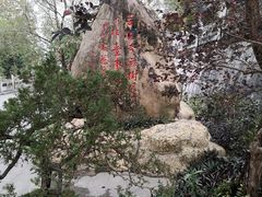 -国恩寺