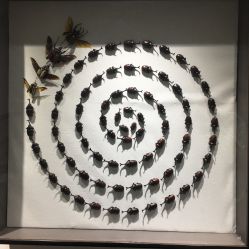 -酷嗒动物文化乐园(cutezoo西溪乐天城店)