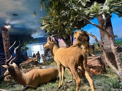 -国家自然博物馆