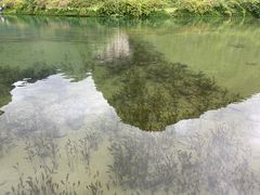 -靖西鹅泉风景区