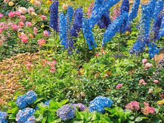 -人民公园(罗湖区)