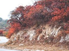 -鬼笑石后山停车场