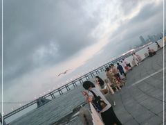 -星海湾跨海大桥