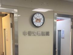 -申普宠物医院(总院)