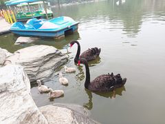 -西安秦岭野生动物园