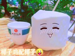 -春润大地海南椰子鸡(沙井京基百纳广场店)