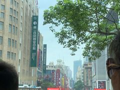 -BUS TOUR观光巴士