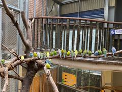 -正佳雨林生态植物园