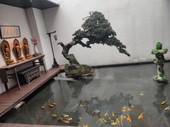 -觀芷隐轩