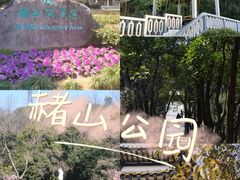 -赭山公园