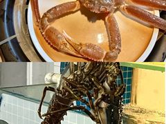 -碗中海·蒸汽海鲜·桑拿鸡(岭南天地店)