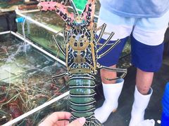 -拉威海鲜市场
