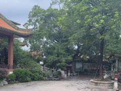 -东江渔村·古典园林·30年粤菜老字号(太和店)